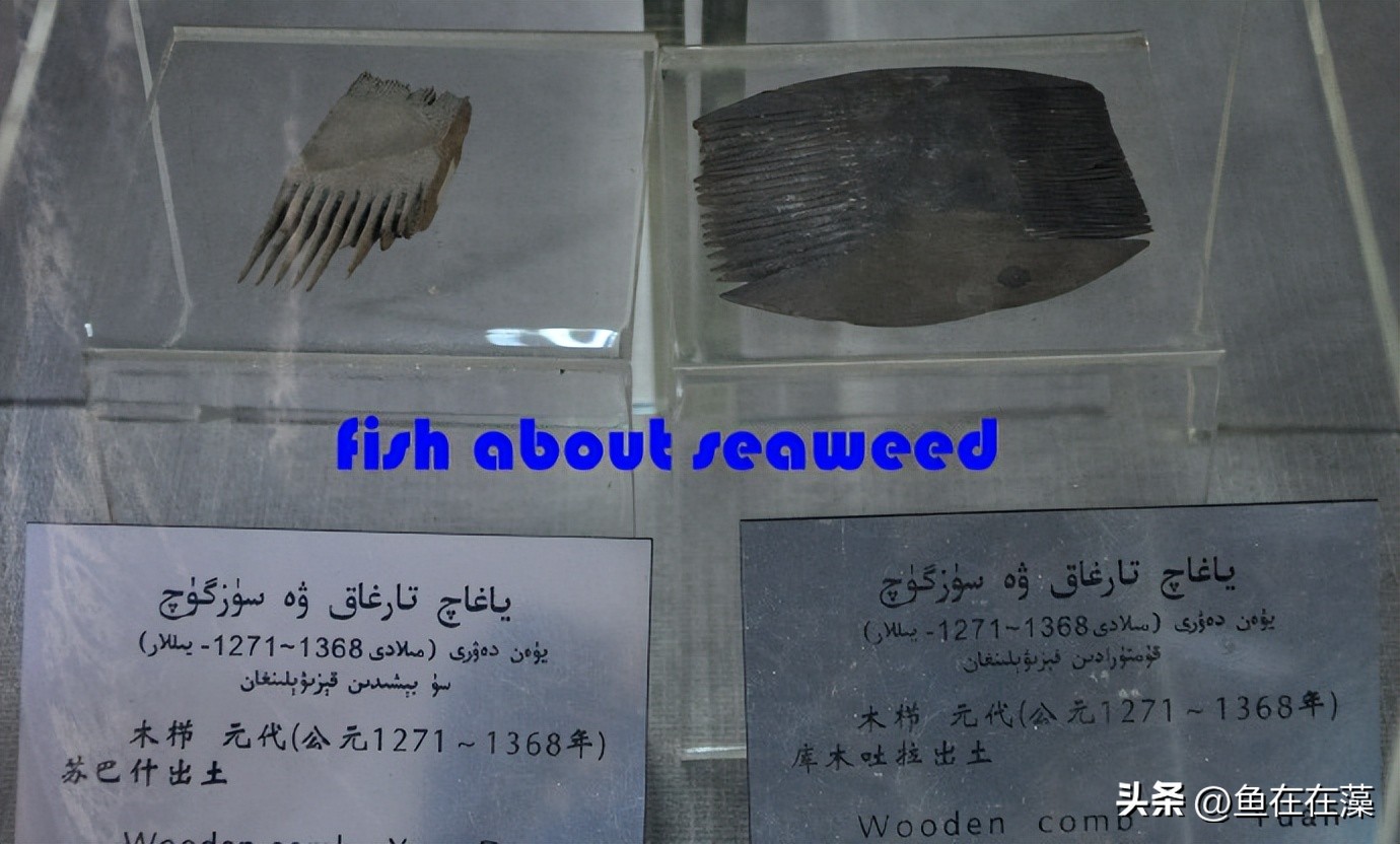 55西进西域·新：库车王府，龟兹文明的橱窗；清代边疆政策范本