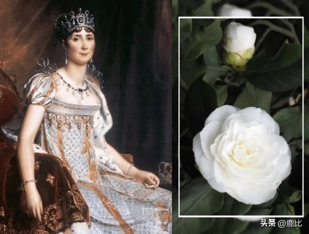 Chanel拿出看家本事，这样的包包无人能敌！