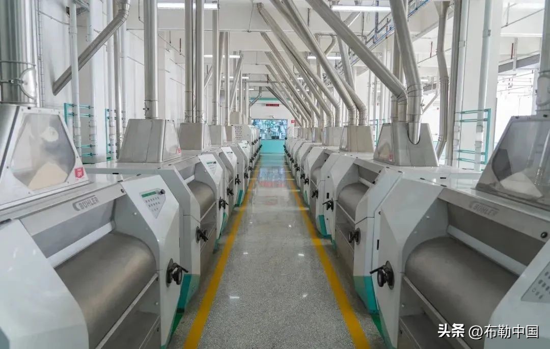 潍坊风筝面粉和香野面粉哪个好,潍坊风筝面粉最新消息