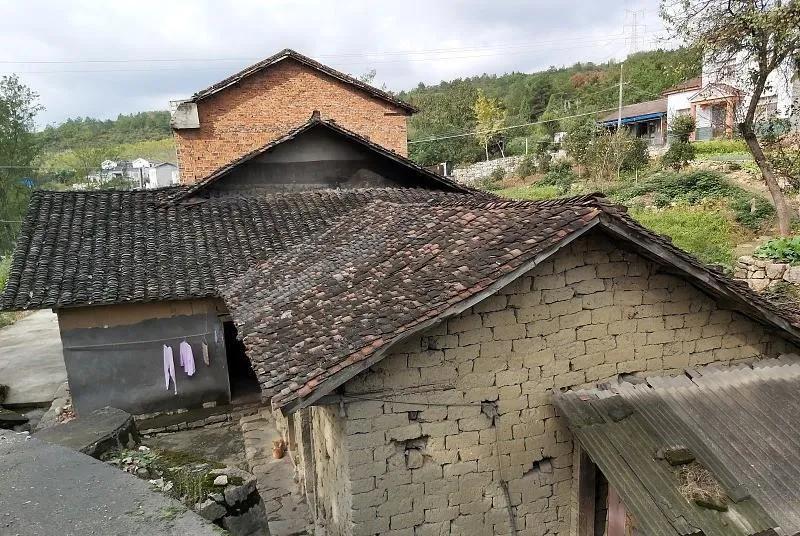 中国有一个科学家死后捐献大脑,中国第一重症博士