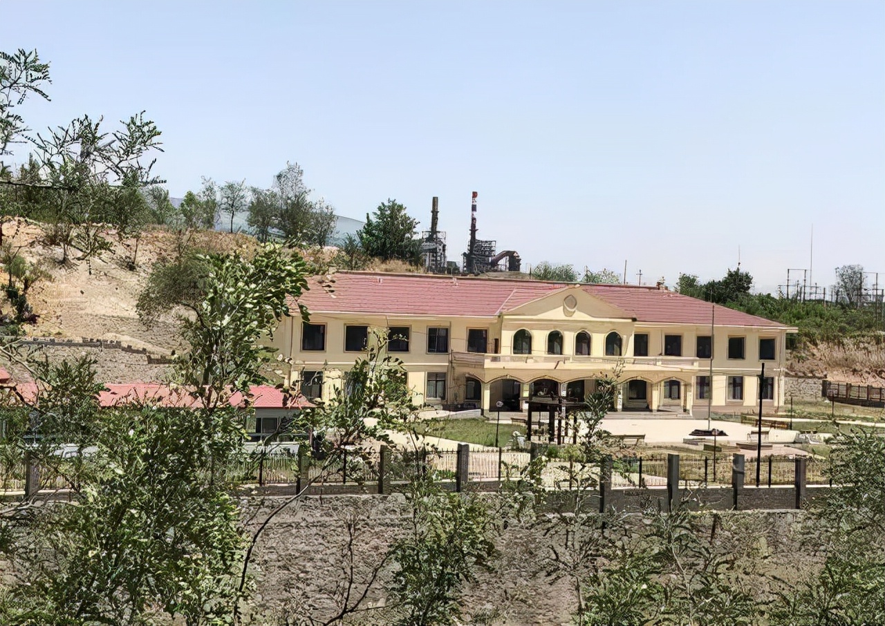 收养118个爱心妈妈为什么判刑,收养118个弃婴的妈妈被判刑