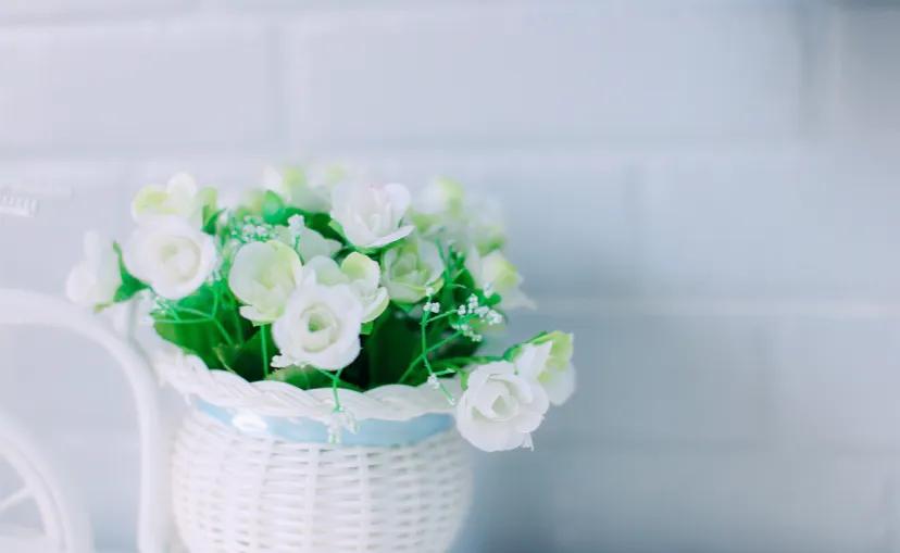 为了让儿子生孩子这婆婆也是拼了,为了生二胎婆婆给我买个小院