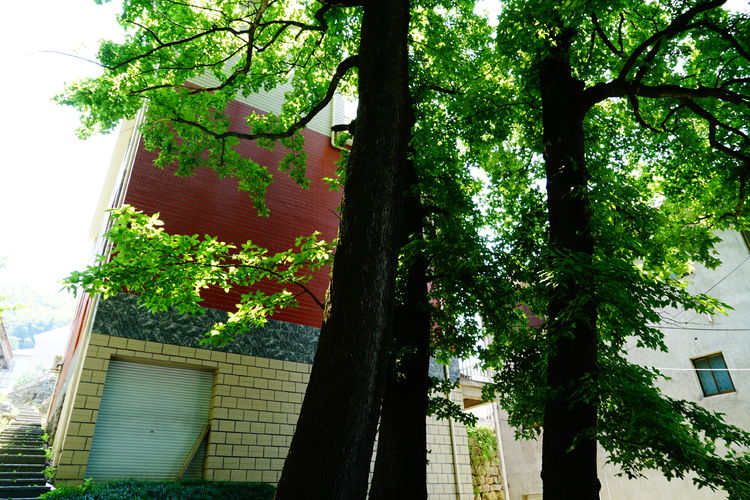 浙西天路华浪线,浙西天路的视频