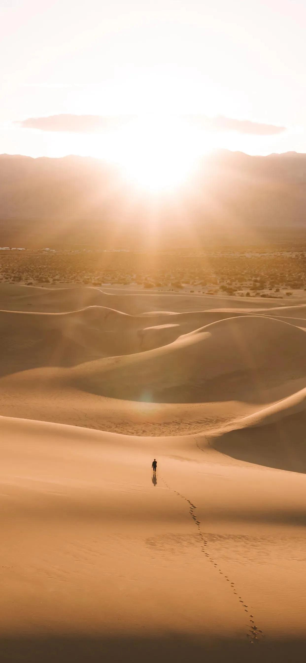 沙漠壁纸图片大全高清,苹果专用沙漠壁纸全屏