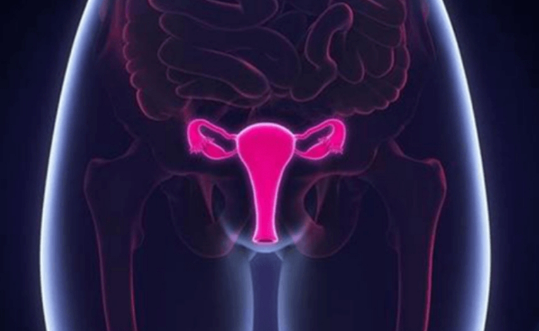 一个女人没有了子宫,女性没有子宫会怎么样