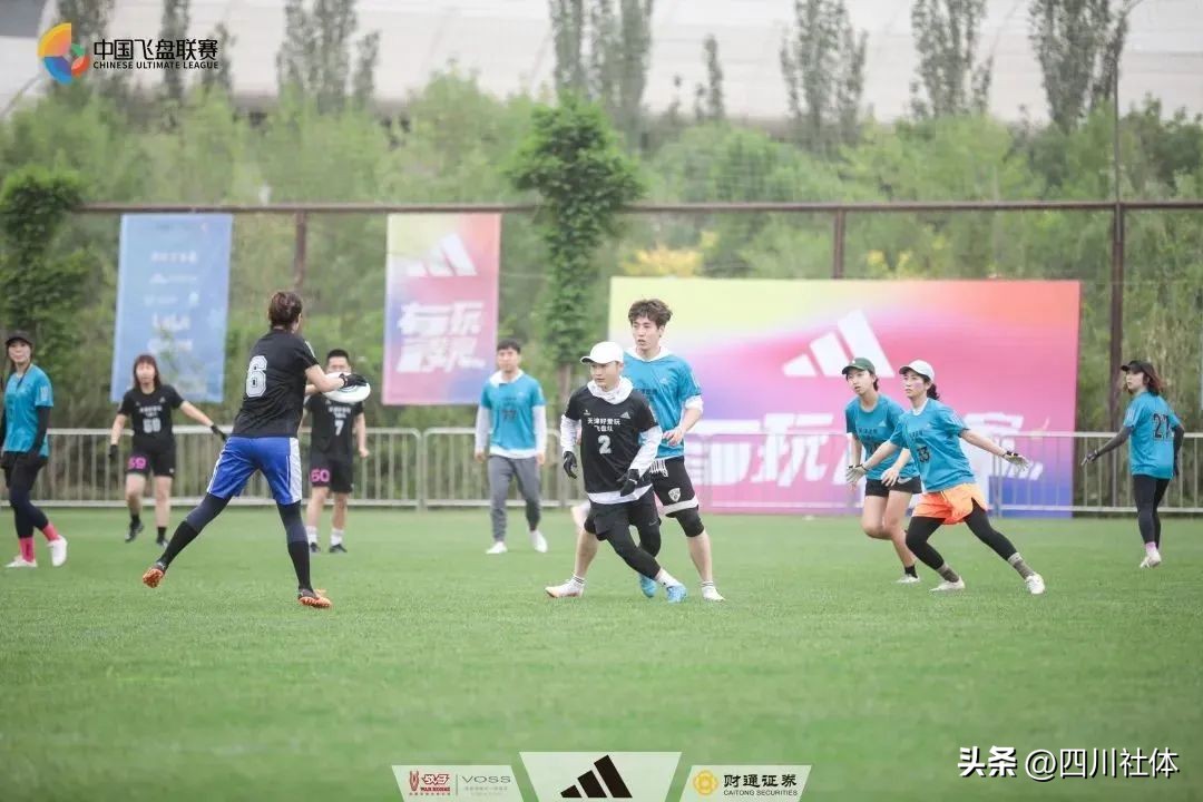 中国飞盘联赛首站比赛,中国飞盘联赛总决赛