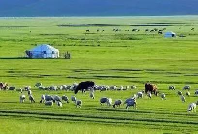 网络购物与传统购物对话,网络购物与现实差距