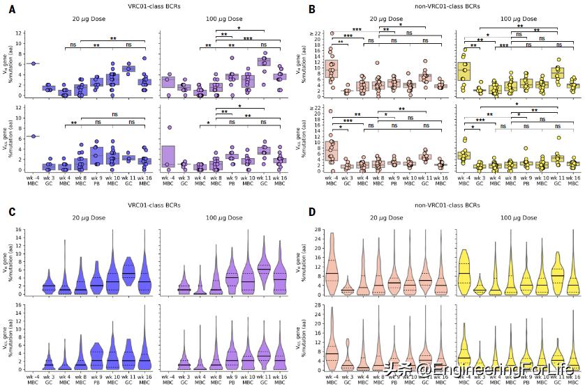 最新艾滋病疫苗研发,全球最新艾滋病疫苗
