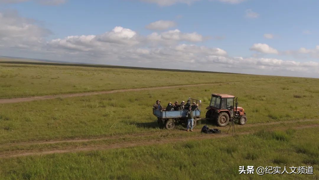 草原看野生动物,独家探访野生动物
