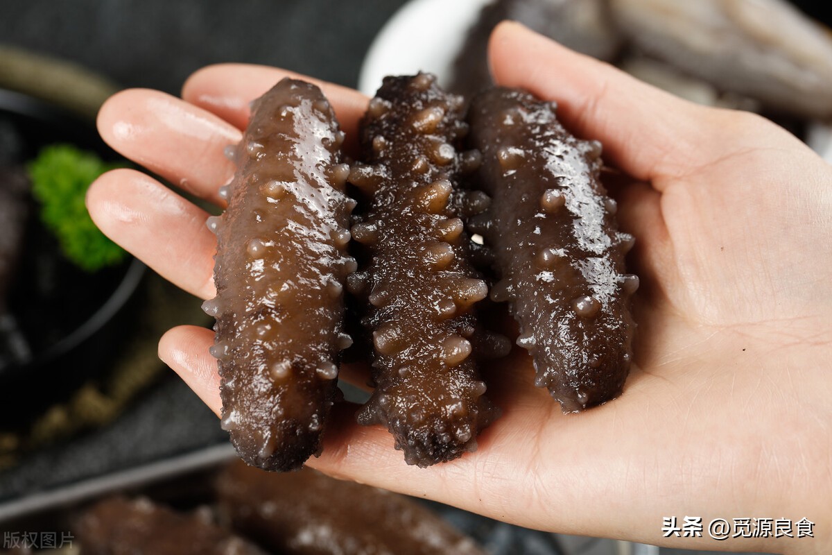 买海参怎么选,买海参的技巧