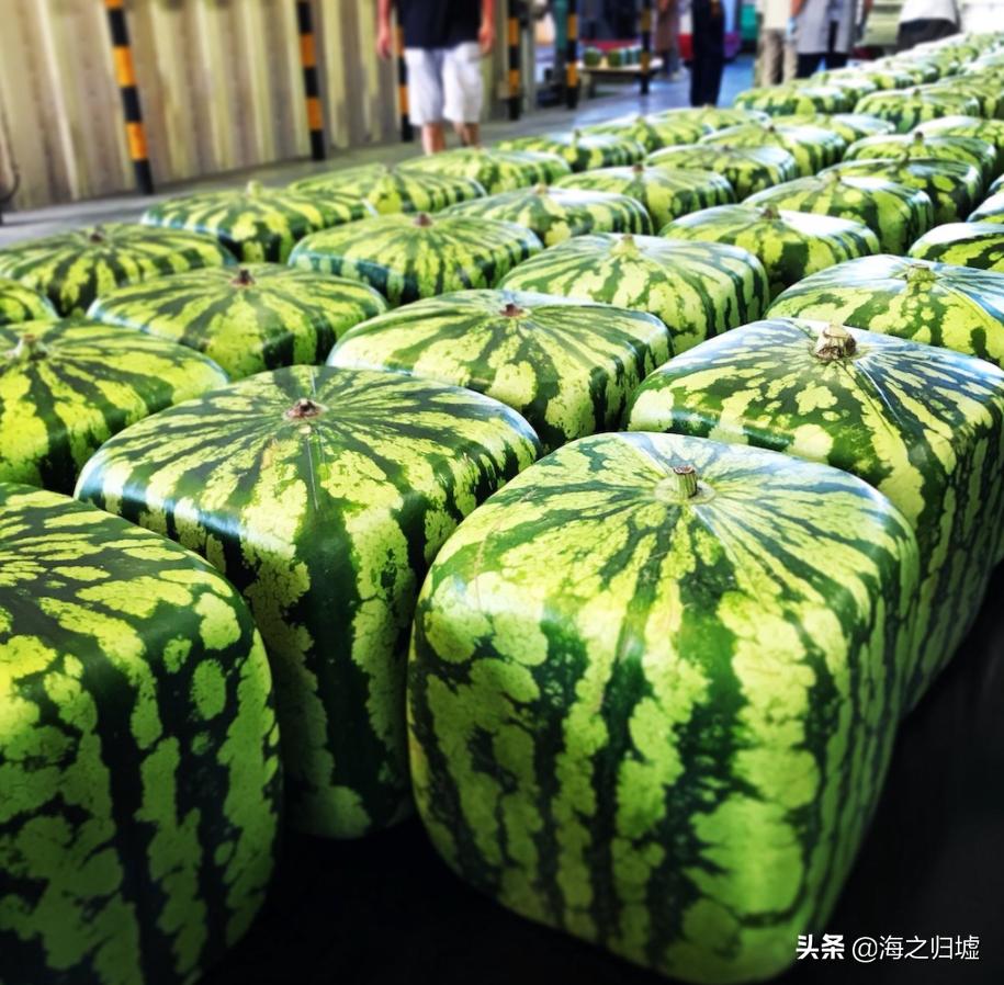 38张照片展示日本的奇葩之处,30张图告诉你一个真实的日本