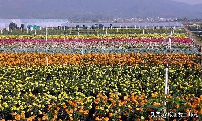 佛山江门广州旅游攻略,佛山去江门旅游攻略