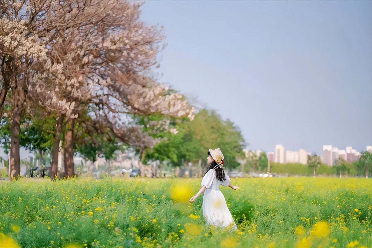 当你心烦意乱的时候看看这四句话,当遇到烦心事怎么才能舒缓心情