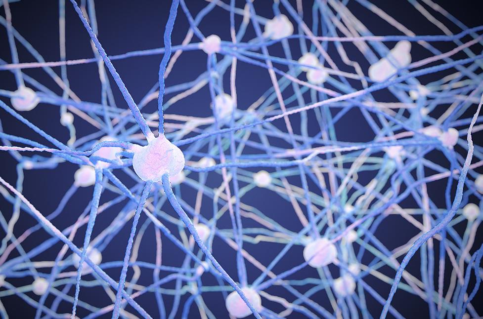 病理性神经疼吃什么药,病理性疼痛