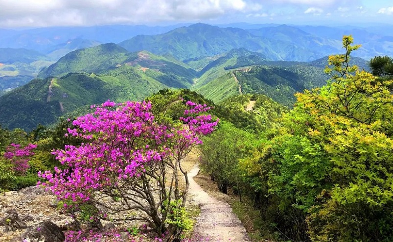 温州必玩的20个景点,温州旅游必去十大景点在哪里