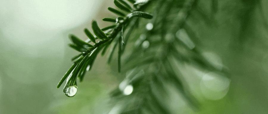 永辉超市的融资渠道有哪些,永辉创业融资思维