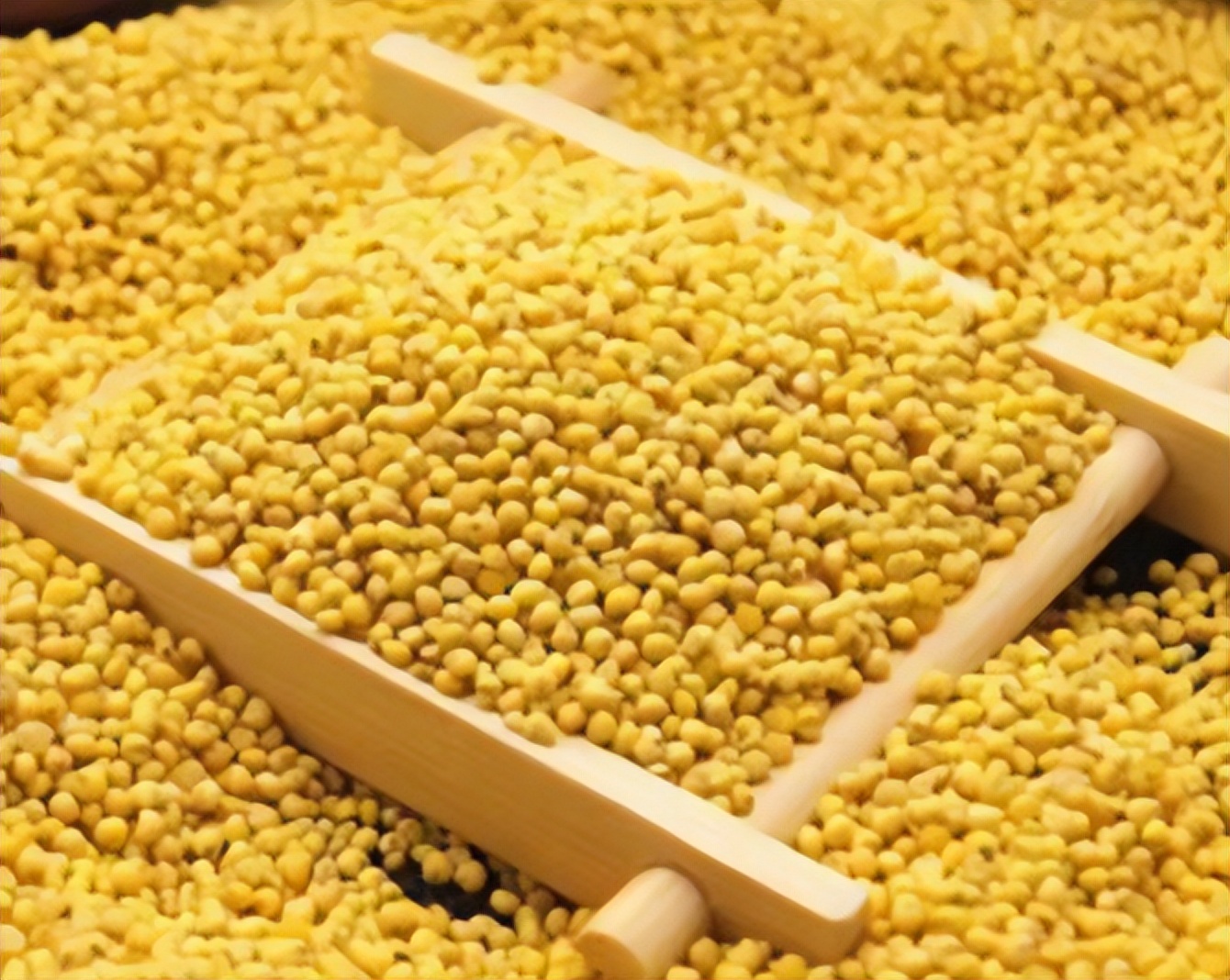 粗粮高粱米,五谷杂粮的高粱米是什么样的