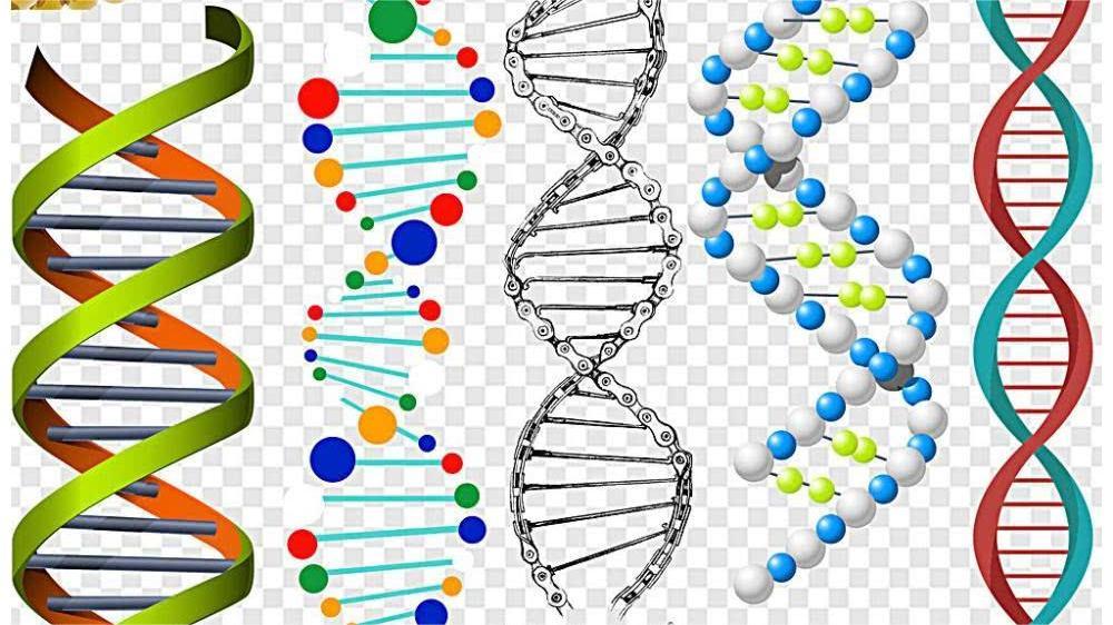 人体缺少蛋白质对大脑的影响,人体缺乏蛋白质对神经有哪些影响