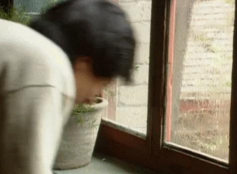 王志文得罪谁,王志文得罪