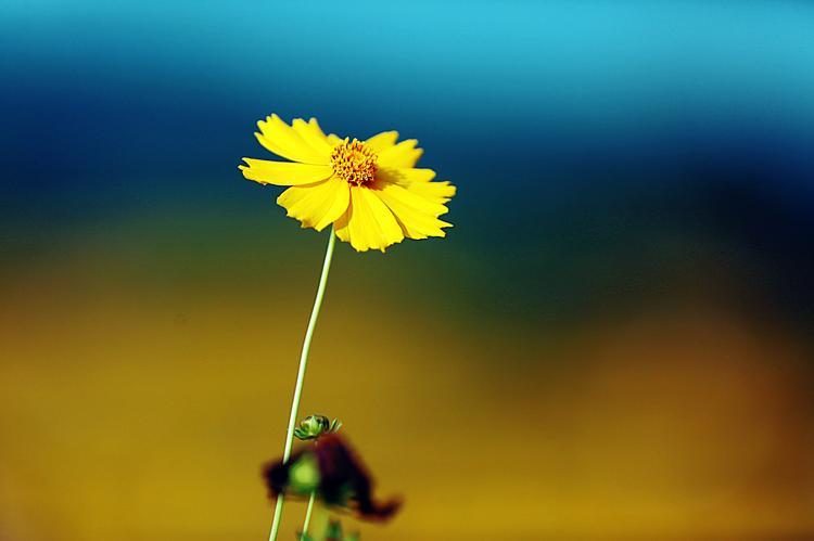 爱一个人的最高境界其实就一句话,爱一个女人的最高境界是什么