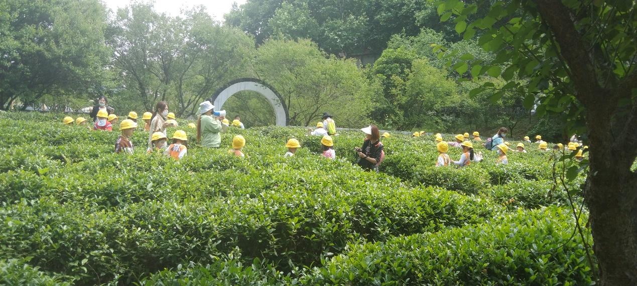 过年买给小朋友的零食礼物,致小朋友的一份礼物请查收