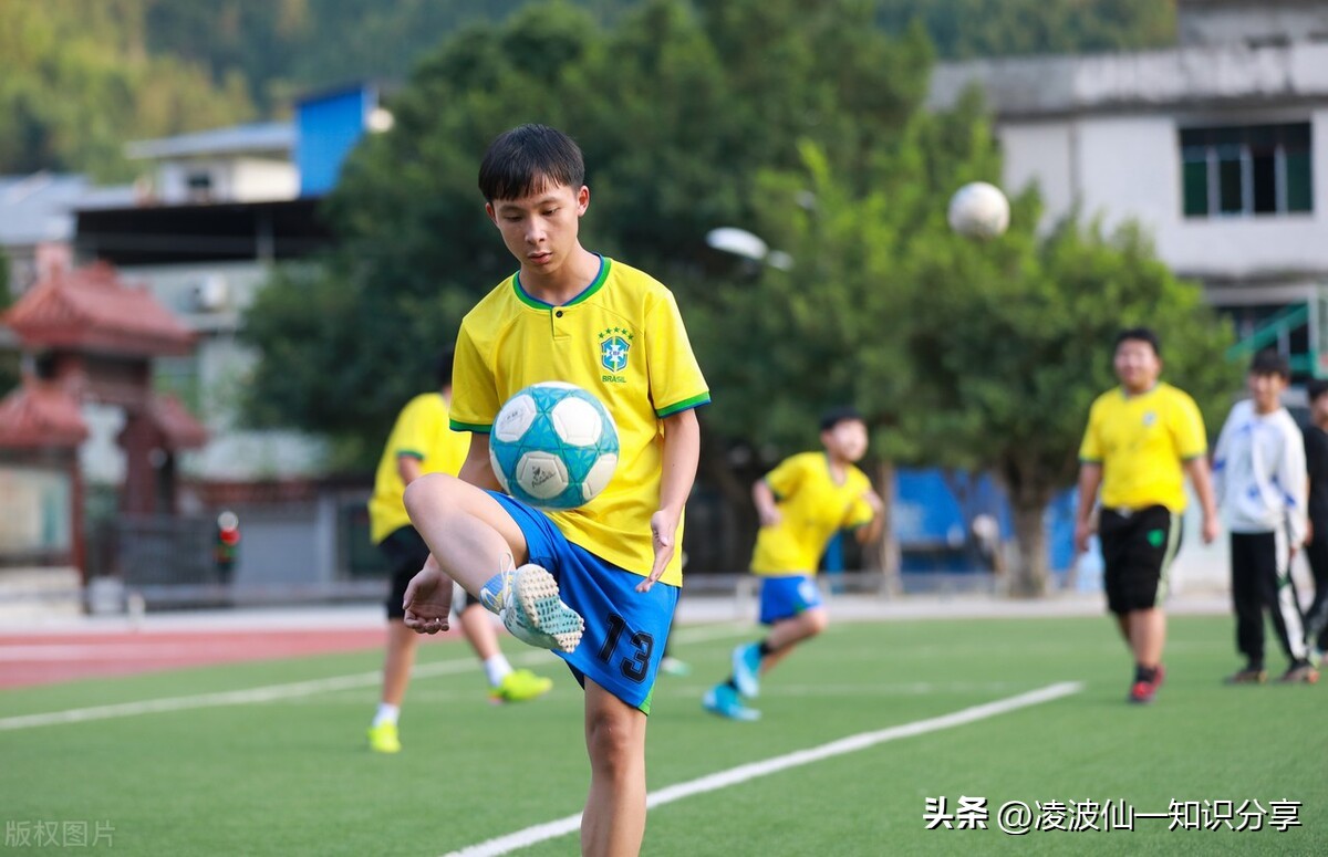 李铁足球生涯,李铁足球生涯最大成就