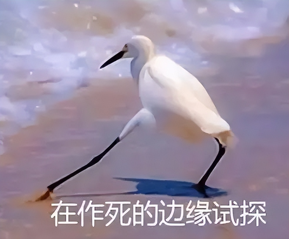 痛风病人平日吃啥药可以预防,痛风患者长期服用什么药物