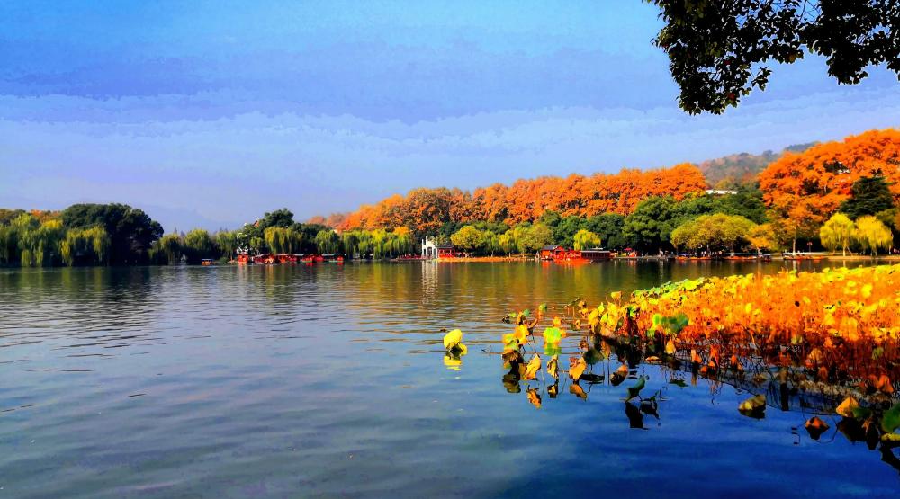 描写西湖秋天的古诗,西湖的秋天最美
