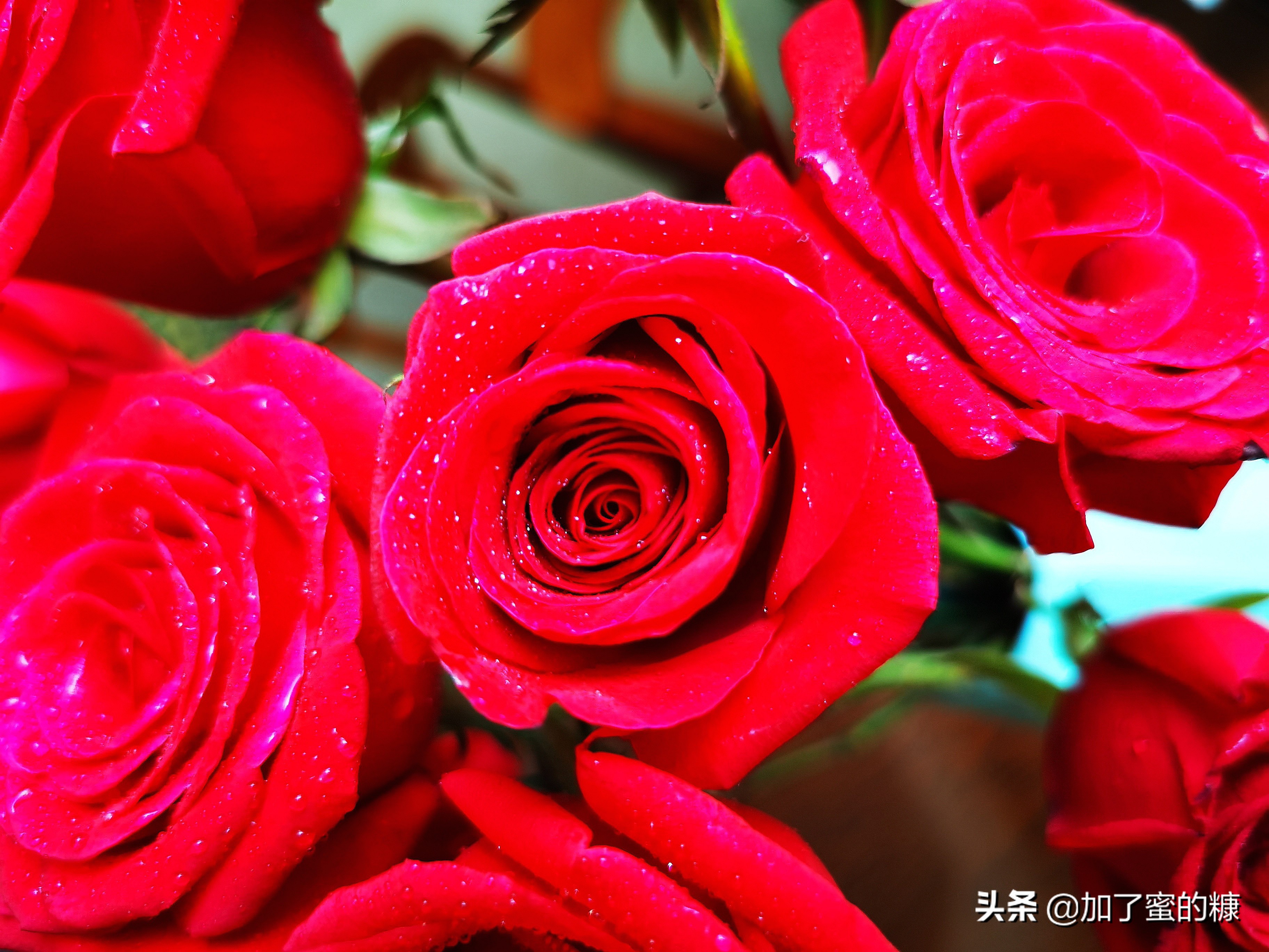 你的锋芒刺痛了我,你的锋芒都是被爱的理由