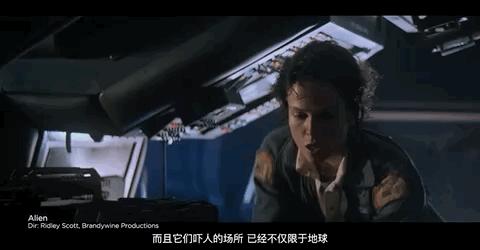 五星安利的穿越剧,五星安利穿越剧