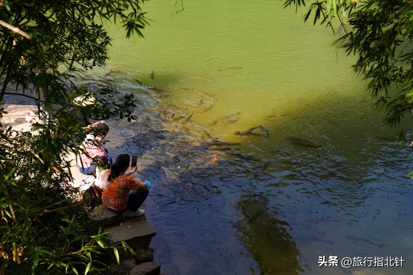 福建旅游攻略武夷山,福建武夷山旅游攻略一日游