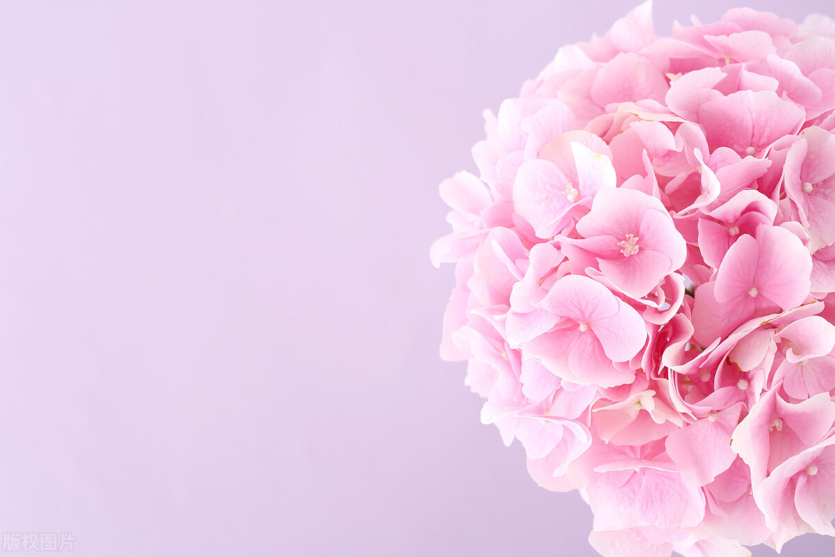 贯籍该怎么写籍贯,什么是籍贯怎样填籍贯