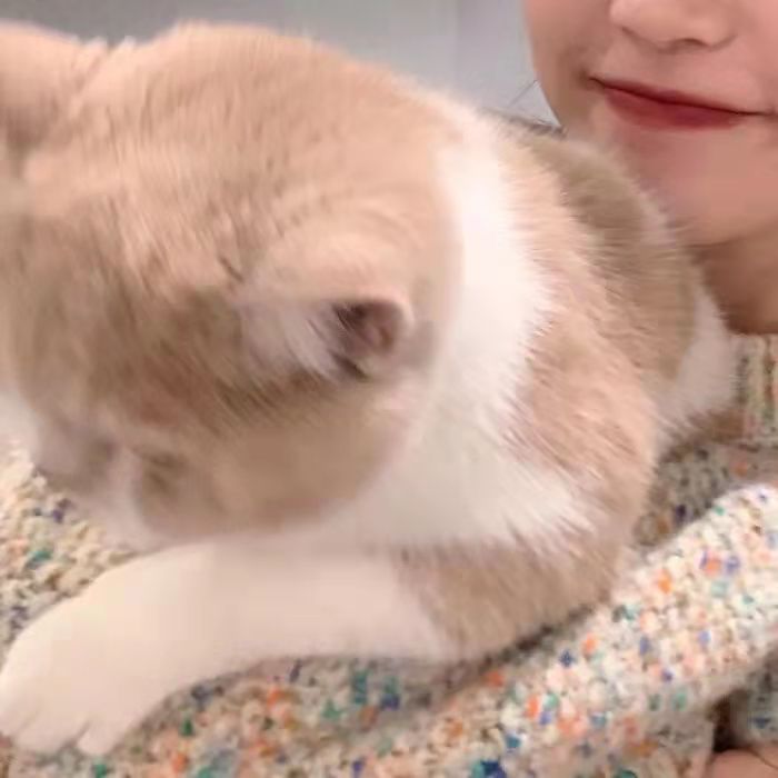 高级感文案小众惊艳短文,小众惊艳高级的朋友圈文案