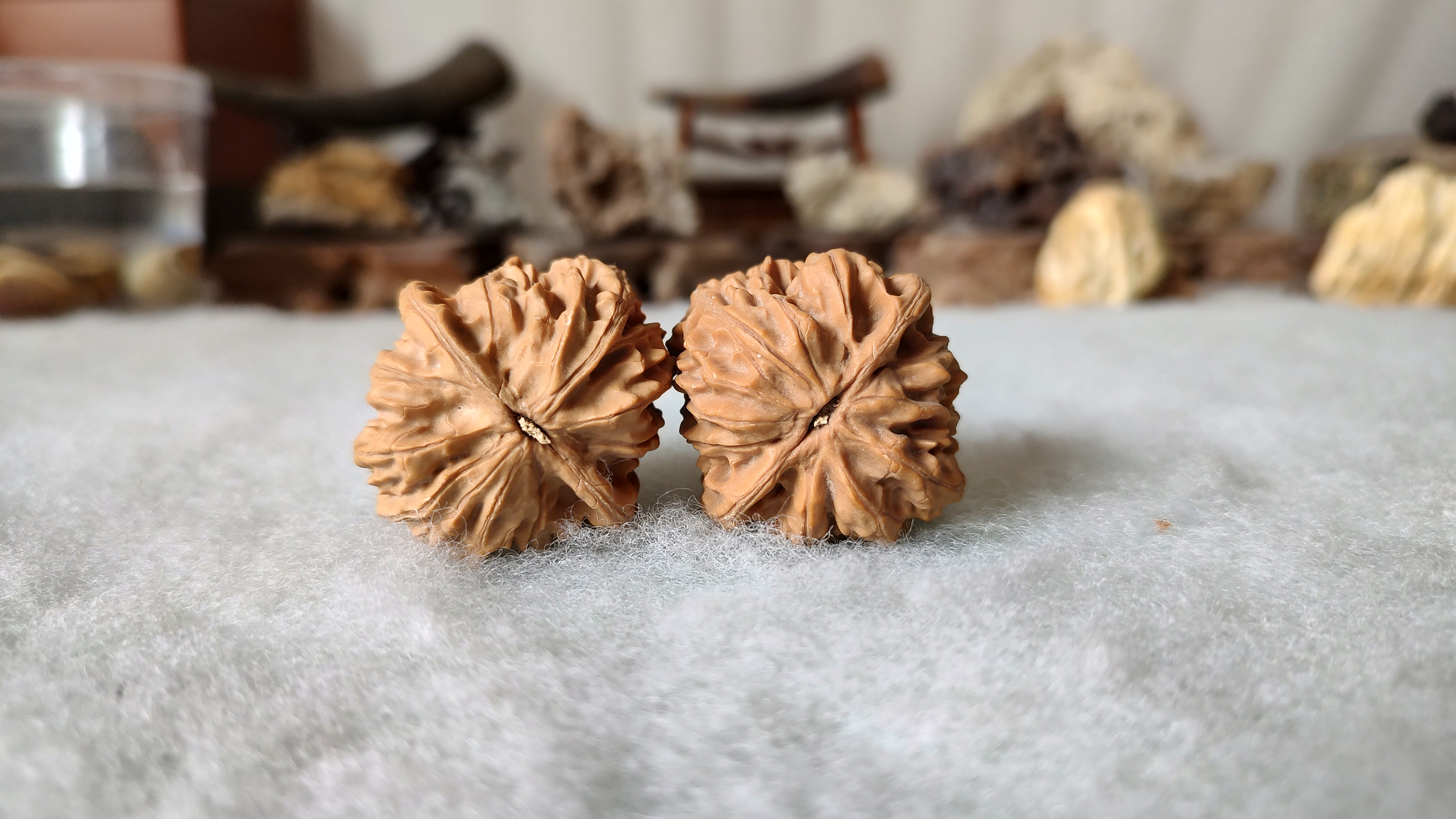 文玩核桃可以只玩一个吗,文玩核桃可以用文玩膏吗