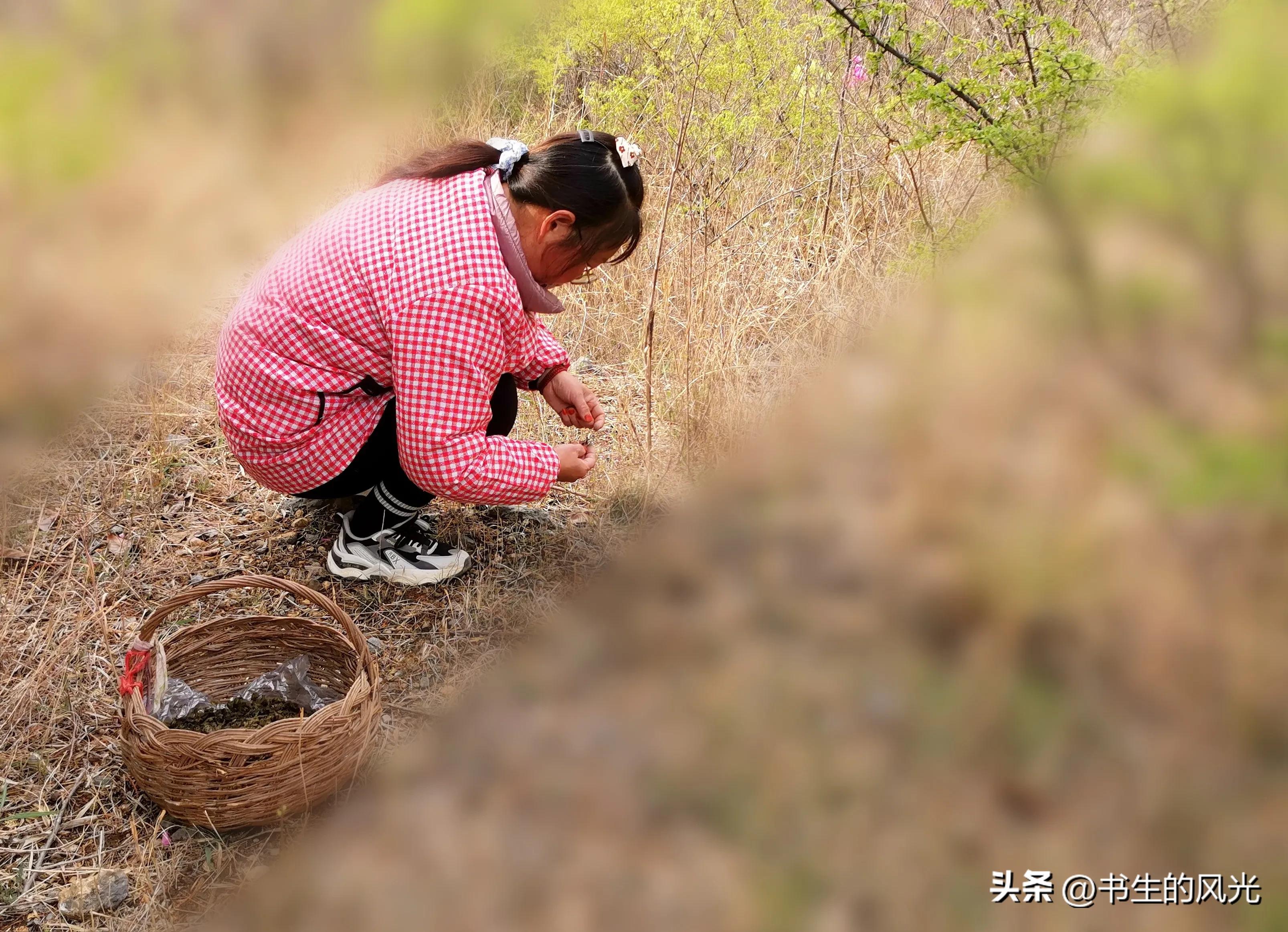 如何让你的手机摄影算法变强,手机拍照体验成像算法