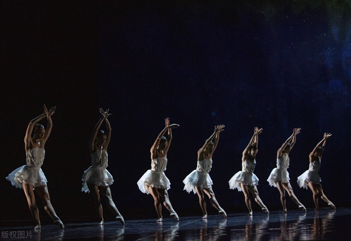 美欧双标频繁打脸，*制抵**足球和文艺不过瘾，最后连猫都没放过