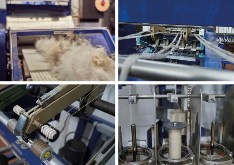 萨摩耶掉毛过程,萨摩耶铲屎官完整版