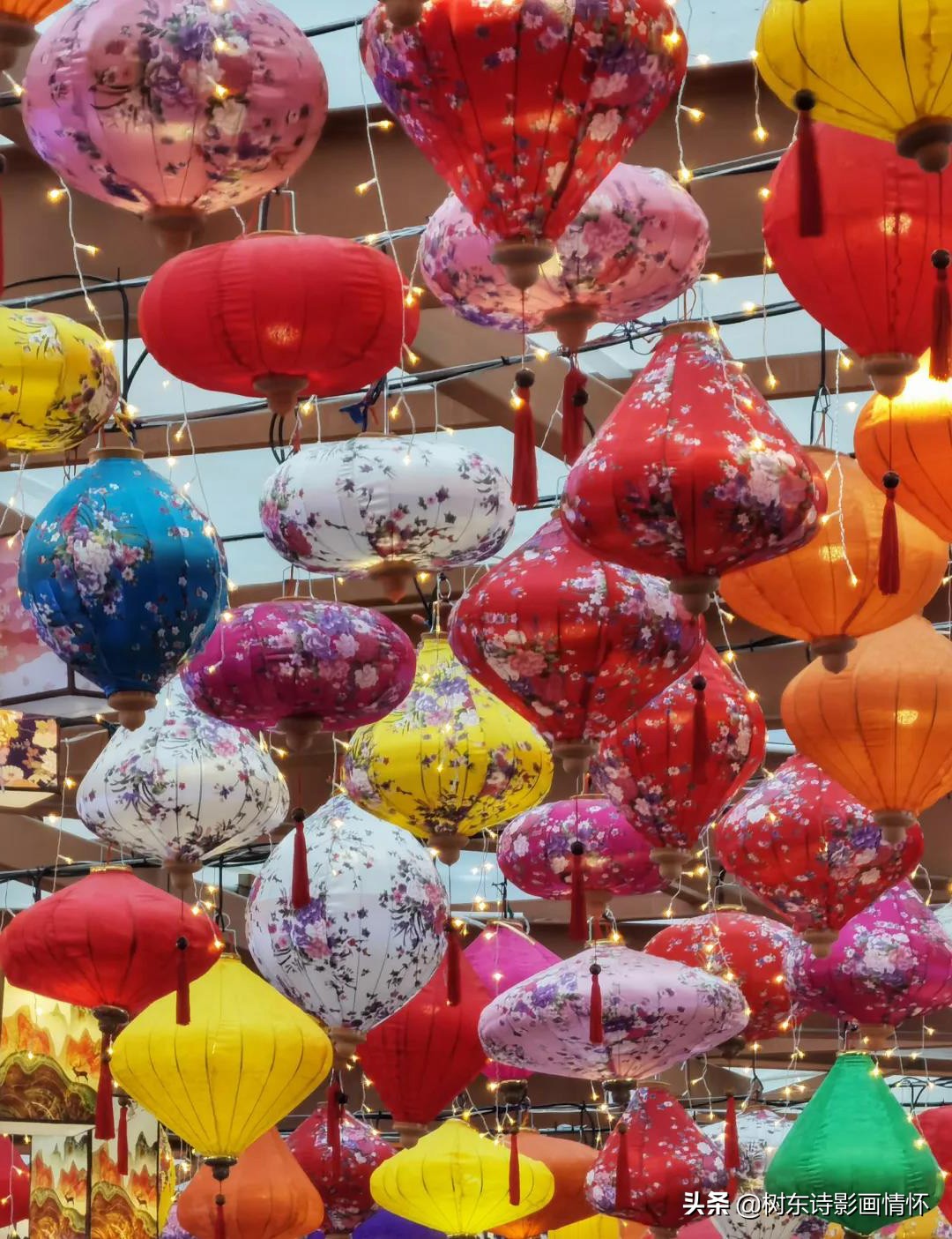 三亚红树林三亚特色,感受春天的气息和享受春天的美景