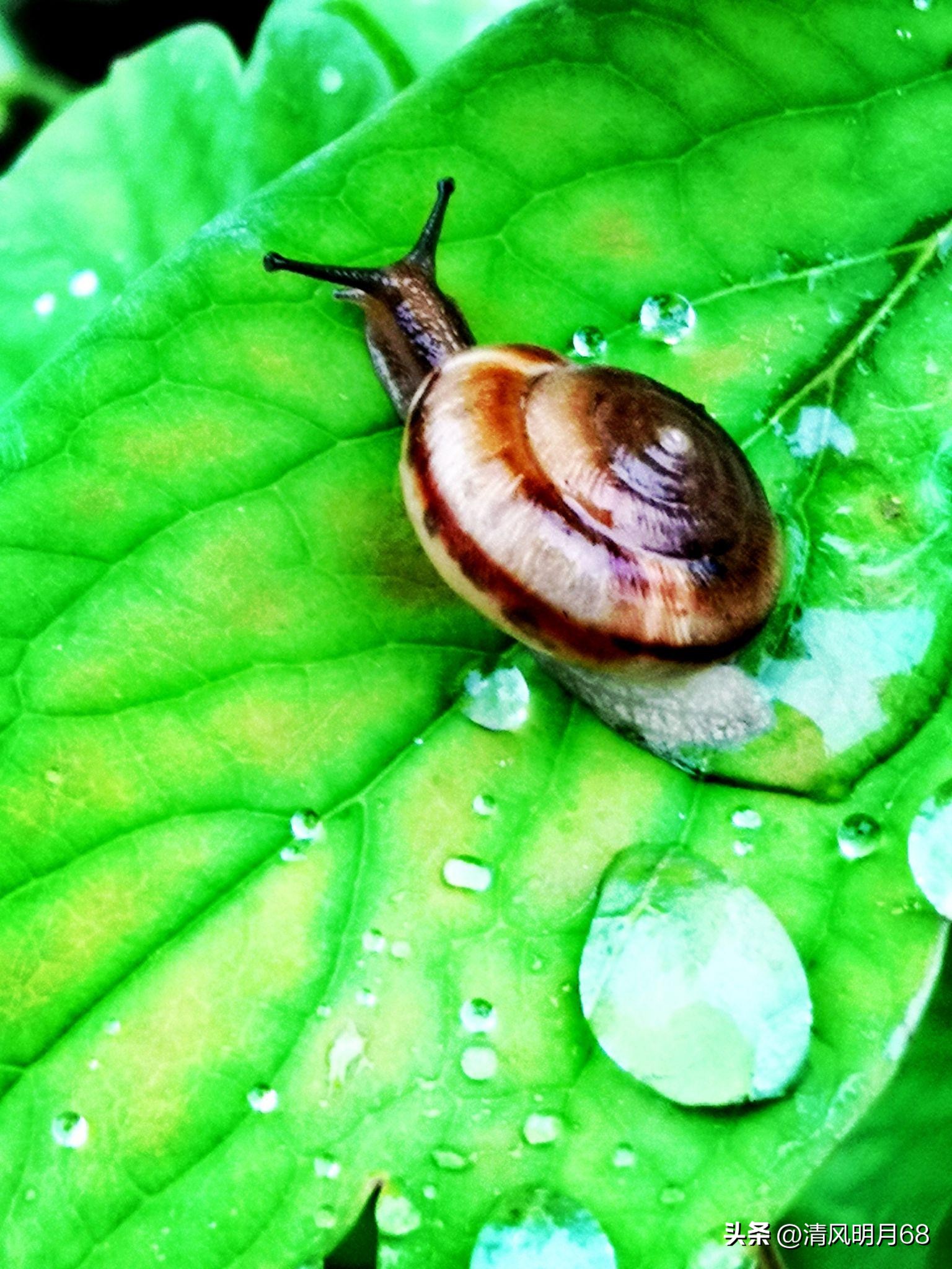 如何指导家长进行有效的家庭教育,家庭教育家长必须依法带娃心得