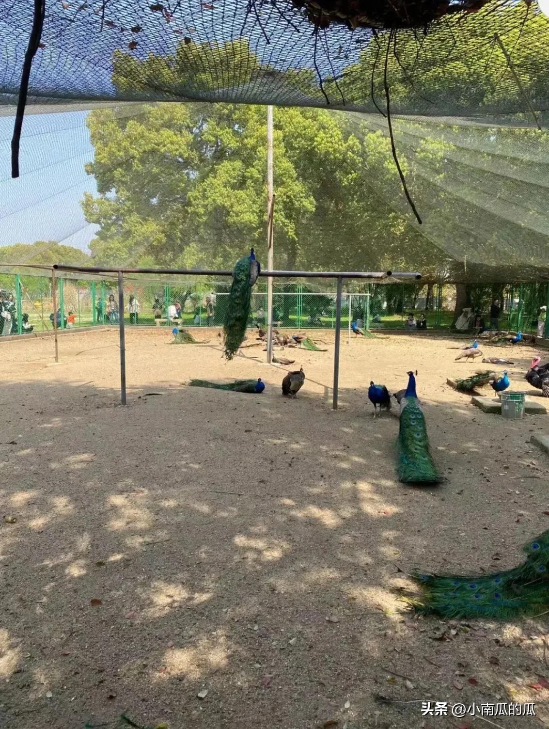 苏州休闲娱乐的景点,苏州娱乐游玩项目