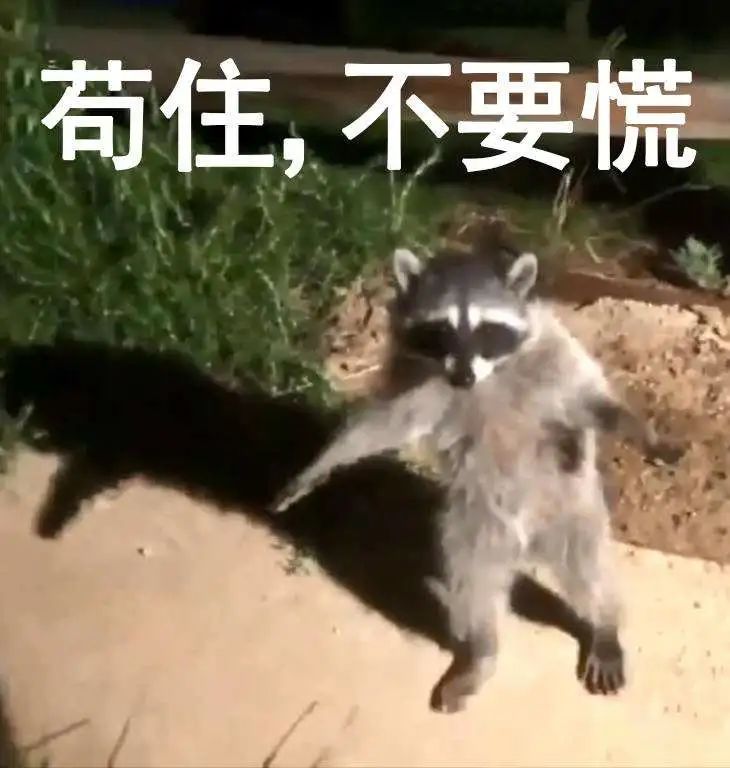 qq又一个功能停运了吗,qq无法彻底关闭