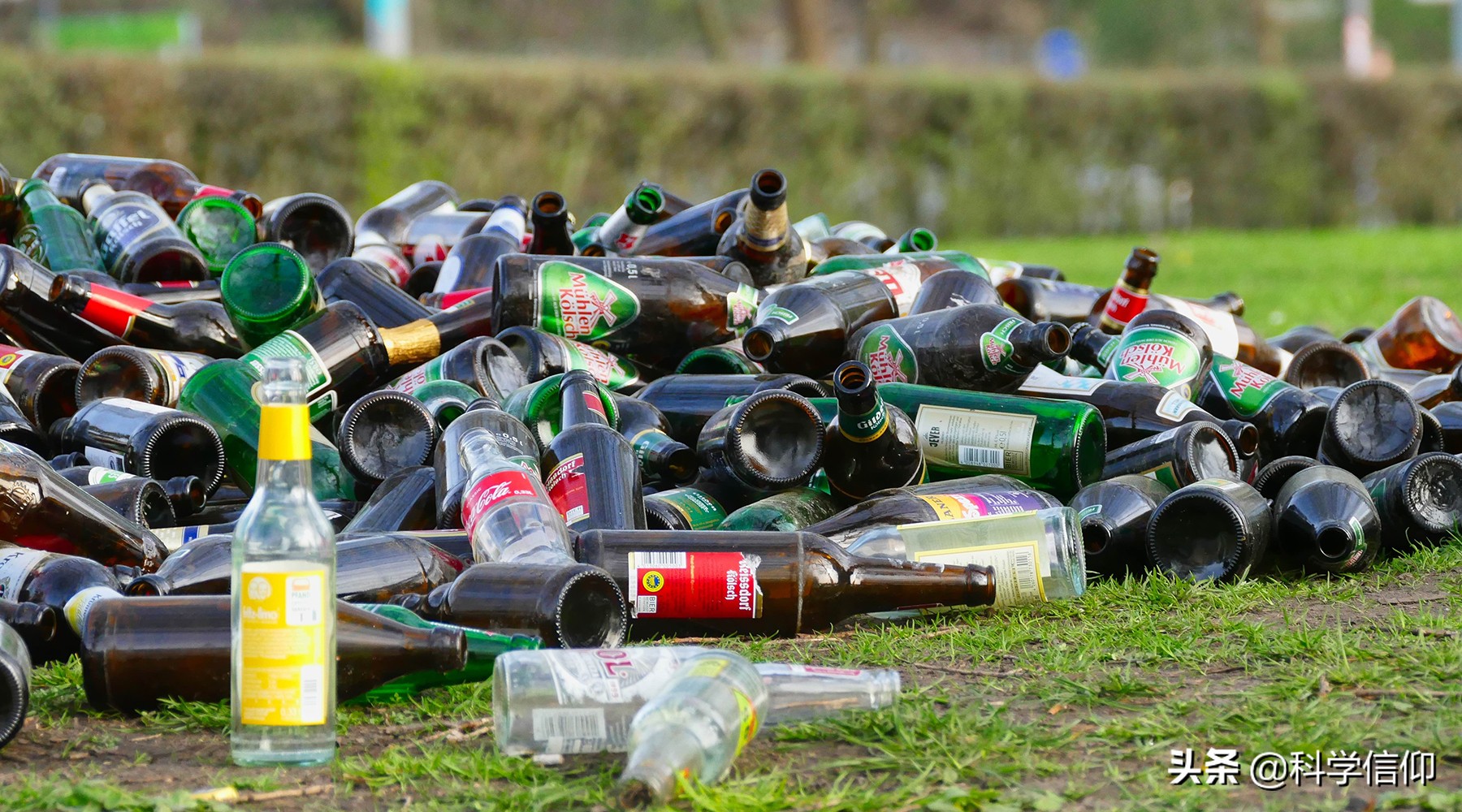 玻璃回收制“棉花”，怎么做到的？将玻璃纤维化