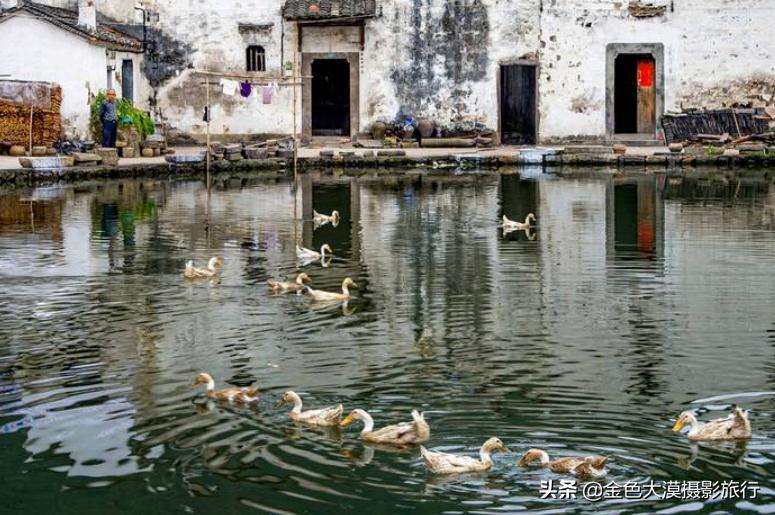 古堰瓯江帆影,古堰画乡赏瓯江帆影攻略