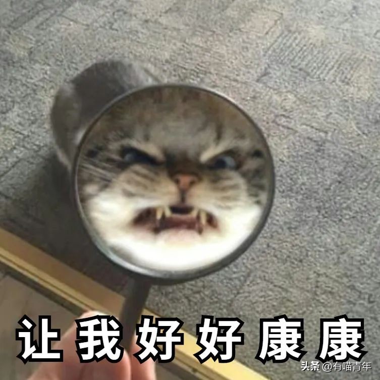 和猫睡觉总是半夜被吵醒,跟猫睡为什么会做噩梦