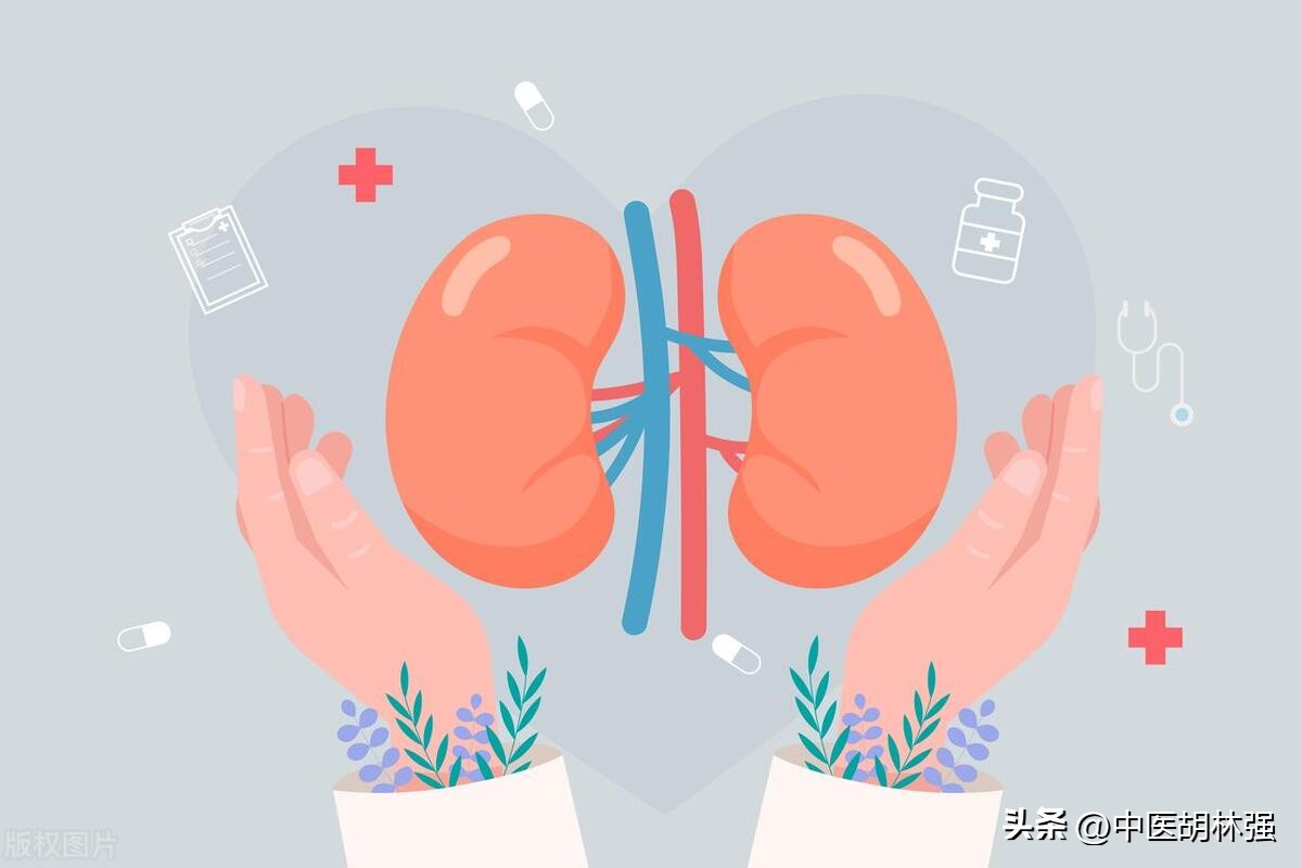 脾不好便稀，肾不好腰疼，肝不好腿乏，三招养好你的脾肾肝！