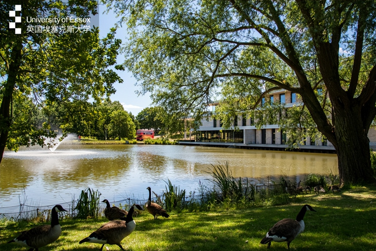 英国曼彻斯特大学和埃塞克斯大学,英国埃塞克斯大学