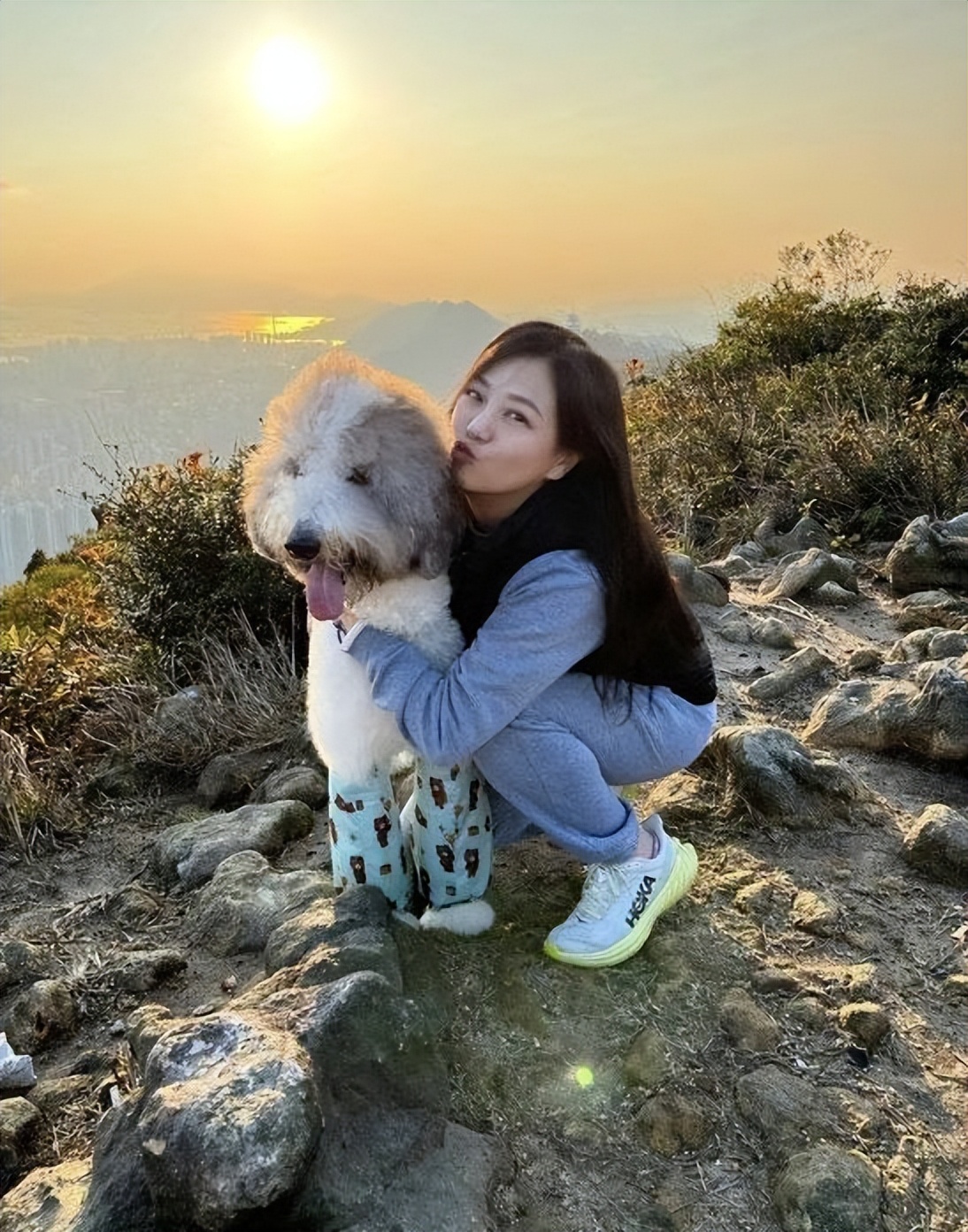 被骂自私又无知！著名港星晒宠物神器遭狂轰，为自家犬使用驱狗器