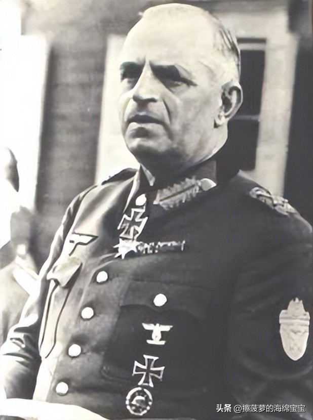 霍尔姆盾章二战德国,二战德国军奖章