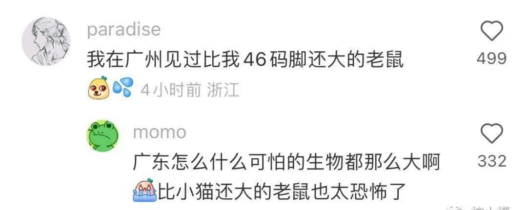 花了1000块钱拍艺术照,花了900元拍的照片