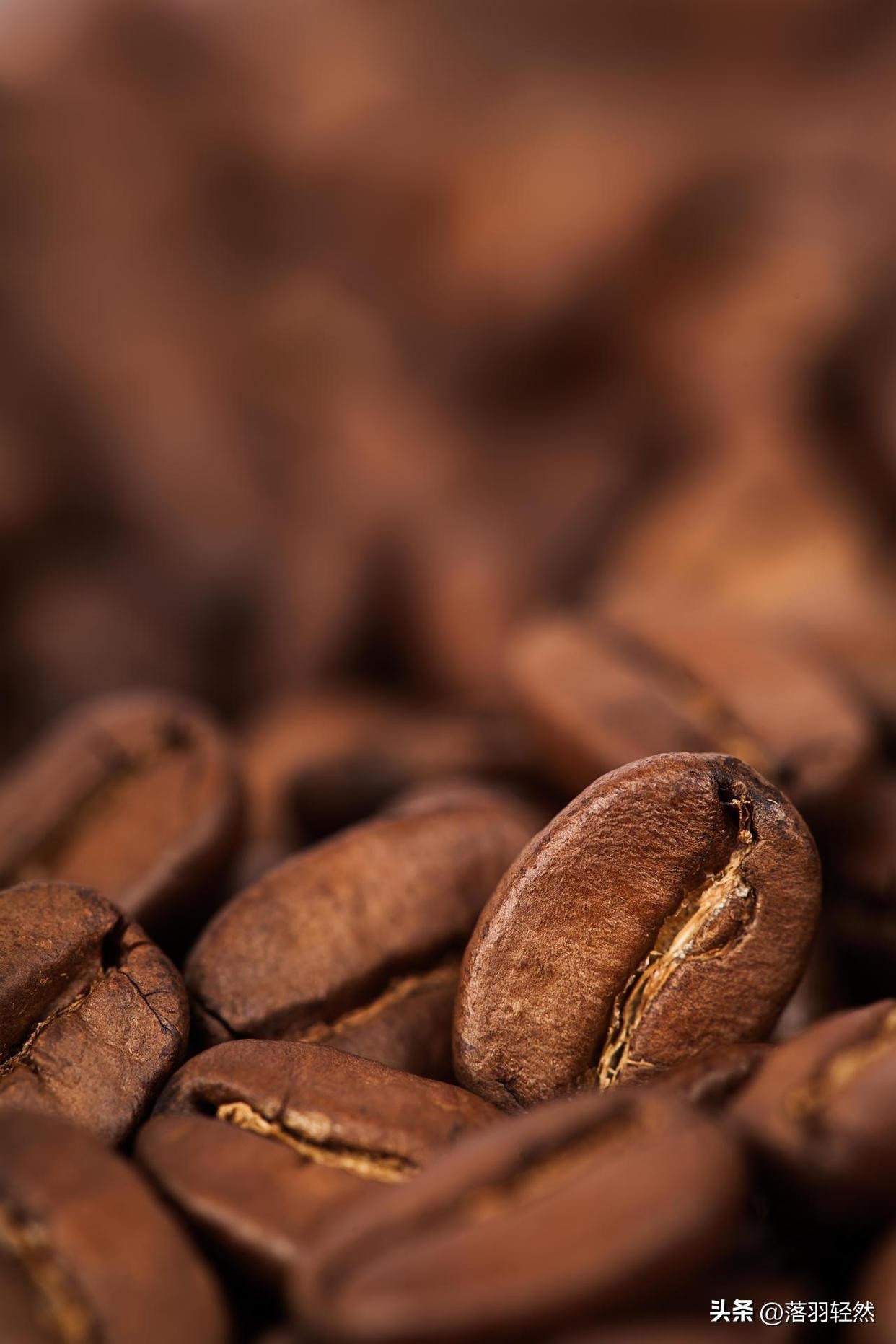 什么牌子的咖啡豆最正宗好喝又香,咖啡豆推荐意式咖啡顶级